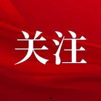 秦黄岛最新爆料新闻,揭秘最新爆料背后的惊人真相