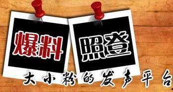 新嘉坡最新爆料新闻,揭秘城市热点事件背后的真相